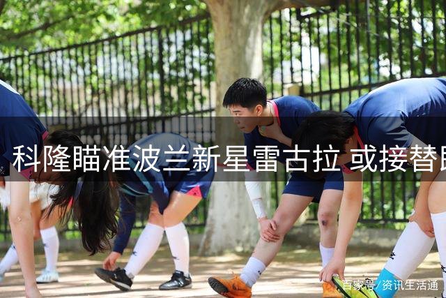 科隆瞄准波兰新星雷古拉 或接替即将离队的马拉